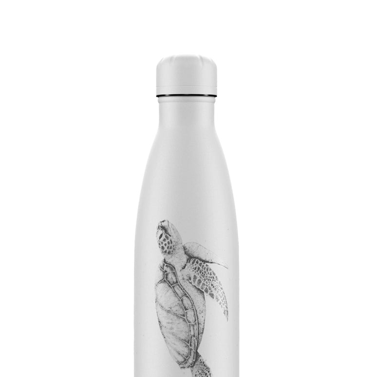 Chilly's Sealife Water Bottle Turtle